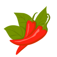 roter Chilipfeffer png