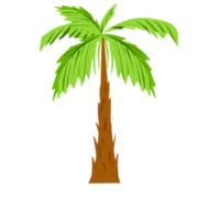 handflatan träd ClipArt png