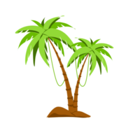 palma albero clipart png