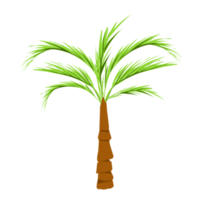 Palma árvore clipart png