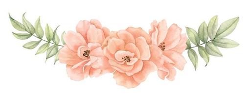 Watercolor Rose flowers. Hand drawn floral illustration of blooming plants on isolated background for greeting cards or wedding invitations in pastel beige and pale pink colors. Botanical composition vector