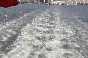 gaviotas en el mar izmir foto