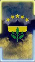 Waving Fenerbahce Flag Phone background or social media sharing photo