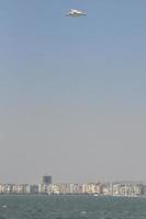 Seagulls on the Sea Izmir photo