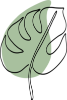 enkelhet monstera blad freehand teckning png