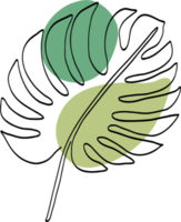 Simplicity monstera leaf freehand drawing png