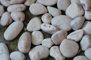 irregular clusters of white stones photo