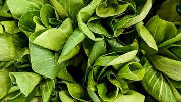 Top view of choy sum texture, vegetable concept background photo