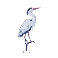 Heron sits on a branch isolate on a white background. Vector graphics.