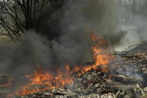 Fire and black smoke. Fire in landfill. Smoke in forest. Illegal landfill. photo