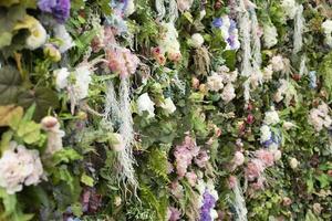 Dried flowers texture. Wall of roses. Beautiful background. Stealing from plants. Details of park garden. photo