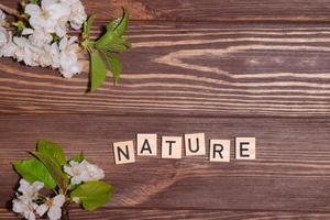 Word nature, lettering top view, wooden background photo