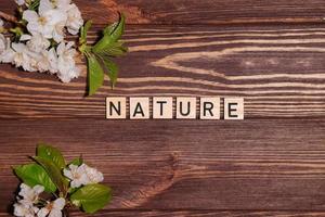 Word nature, lettering top view, wooden background photo