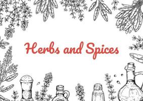 Herbs and spices horizontal design. Hand draw background with cooking ingredients in sketch style. Detailed vector illustration