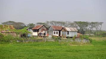 Landscape view of traditional tin-wood village houses next to green fields at Munshiganj District, Dhaka. Rural village beauty of Bangladesh. video
