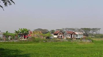 paysage vue de traditionnel étain-bois village Maisons suivant à vert des champs à munshiganj district, dacca. rural village beauté de Bangladesh. video