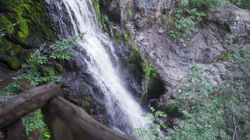 Mysterious forest waterfall. Waterfall among mossy rocks. video