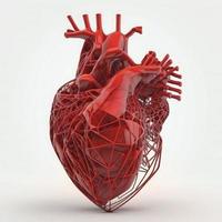 rojo color, humano corazón estructura metálica en blanco antecedentes foto