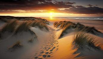 Beautiful dunes beach at sunset, North Sea, Generate Ai photo