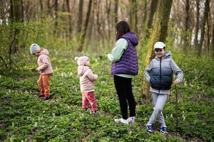 Back view of mother with three kids walking on forest trail. Outdoor spring leisure concept. photo