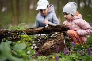 Brother with sister discover wood at spring forest. photo