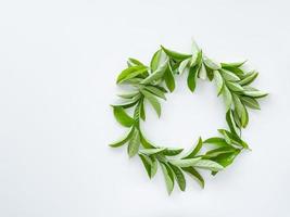 frame workspace with green leaves on white background. lay flat, top view photo