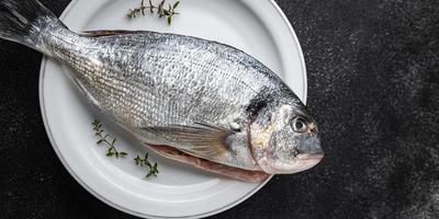 Fresco pescado mar brema Mariscos crudo comida bocadillo en el mesa Copiar espacio comida antecedentes rústico parte superior ver foto