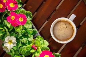 cup of coffee outdoor flower primrose multicolored copy space food background rustic top view photo