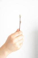 small delicate spring willow twig I keep in a hand on a smooth light background photo