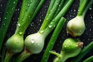 Fresh sprouts of green onion, head of garlic covered with water droplets. Dark background. photo