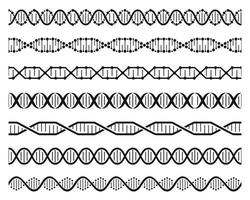Dna helix chains. Double helix gene molecule structure, human genetic code. Dna chain molecular sequence seamless element vector set