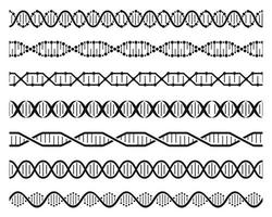 Dna helix chains. Double helix gene molecule structure, human genetic code. Dna chain molecular sequence seamless element vector set