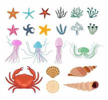 Set with ocean creatures. Vector isolated illustrations on a white background.