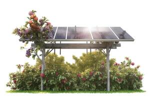 Solar panel in fruit trees on white background, isolate. Clean technologies of future. . photo