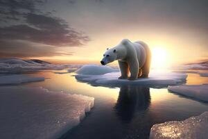 Polar bear on an ice floe in the Arctic Sea against the background of the morning sun. . photo
