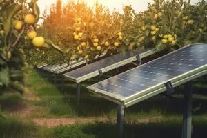 Solar panel in an orchard in sun. Clean technologies of future. . photo