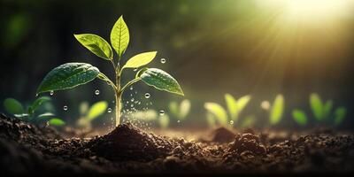 el joven plantas es creciente con ai generado. foto