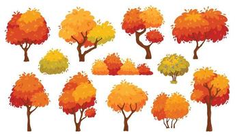 Cartoon autumn trees and bushes, yellow forest tree. Nature plants with red foliage and leaves. Fall season trees for park or garden vector set