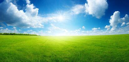 The landscape of natural grass field with . photo