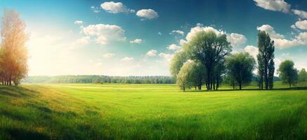 The landscape of natural grass field and trees with . photo