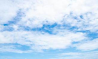 Beautiful blue sky and white clouds abstract background. Cloudscape background. Blue sky and fluffy white clouds on sunny day with birds flying. Nature weather. Beautiful blue sky on a summer day. photo