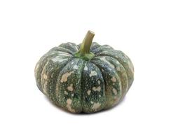 Single fresh green pumpkin with strange pattern isolated on white background with clipping path photo