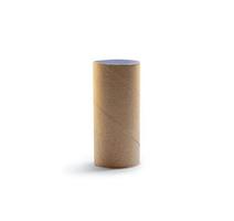 single standing tissue paper roll core isolated on white background with clipping path photo