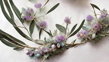 Surprising Lavender flowers and eucalyptus branches isolated on white, Floral wreath. photo