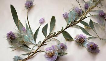 Lavender eucalyptus leaves, sage, and olive branches make up this flower frame from a digital watercolor painting that is isolated on white. photo