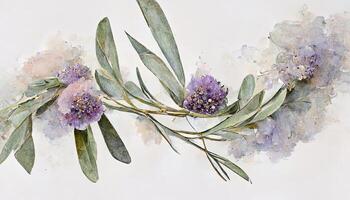 Lavender flowers and eucalyptus branches isolated on white, Floral wreath, Watercolor illustration. photo