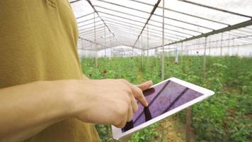 Working with a tablet in the greenhouse. Modern flower production. Working with a tablet in the greenhouse. Modern flower production. video