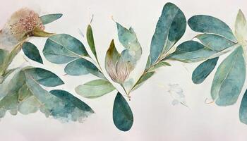 watercolor Eucalyptus leaves seamless border, Watercolor floral illustration, Greenery and jasmine flower for wedding. photo