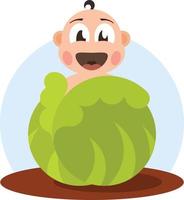 Image Of A Kid In A Cabbage vector
