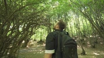 mirando a el cielo y arboles en el bosque, el joven hombre es ambos impresionado y fascinado. el joven hombre es caminando en el bosque. video